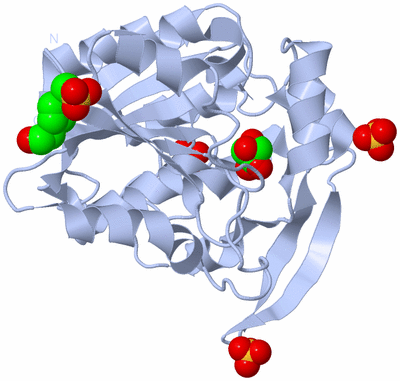 Image Biological Unit 1