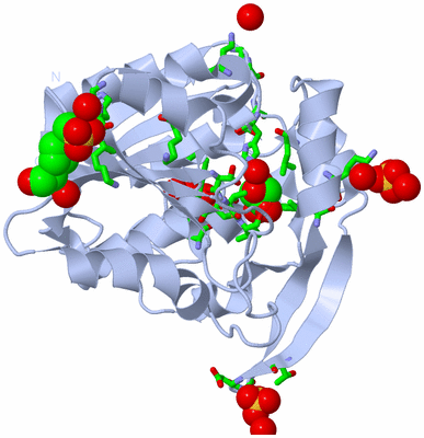 Image Biol. Unit 1 - sites