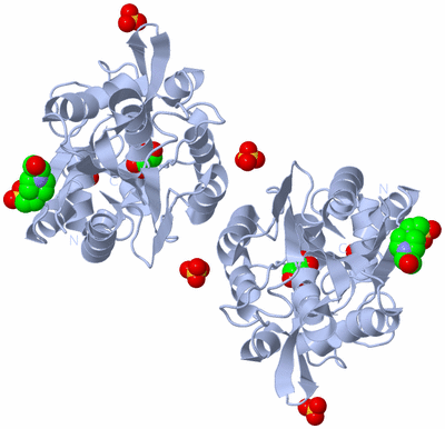 Image Biological Unit 3