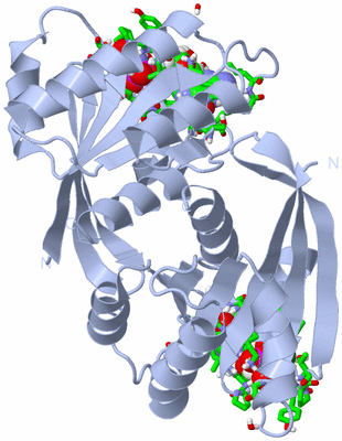 Image Biol. Unit 1 - sites