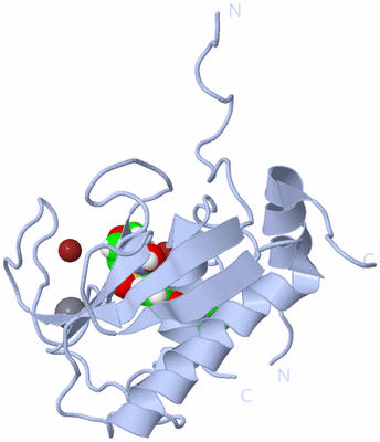 Image Biological Unit 1