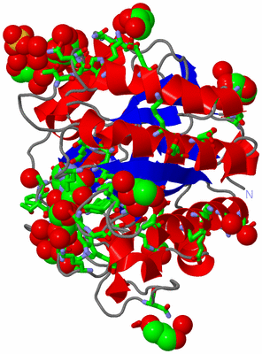 Image Asym./Biol. Unit - sites