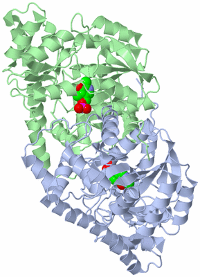 Image Asym./Biol. Unit