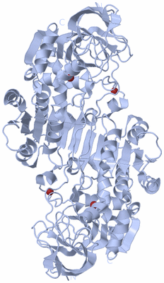 Image Biological Unit 1