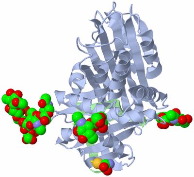 Image Asym./Biol. Unit