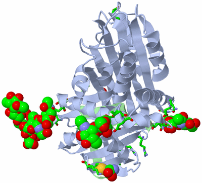 Image Asym./Biol. Unit - sites