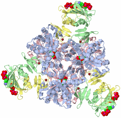 Image Biological Unit 1