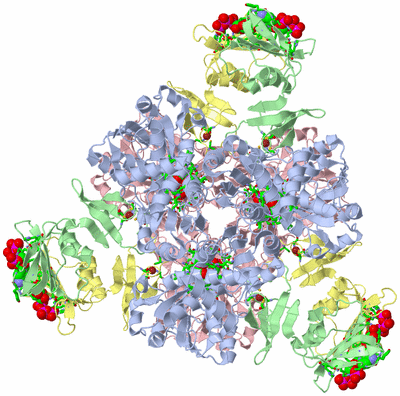 Image Biol. Unit 1 - sites