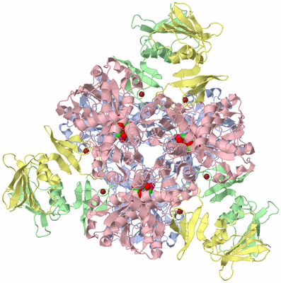 Image Biological Unit 1