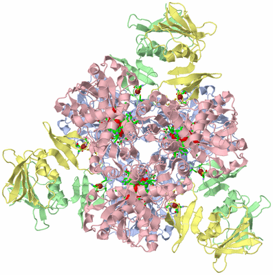 Image Biol. Unit 1 - sites