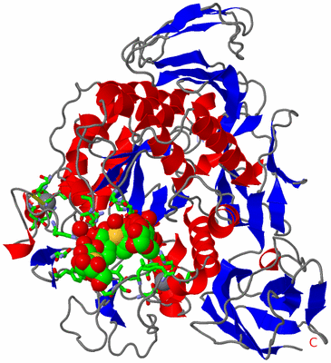 Image Asym./Biol. Unit - sites