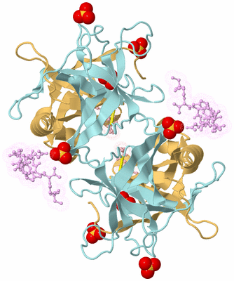 Image Biological Unit 3