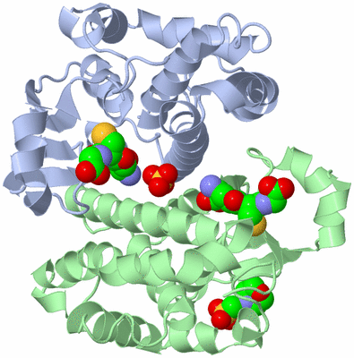 Image Biological Unit 1