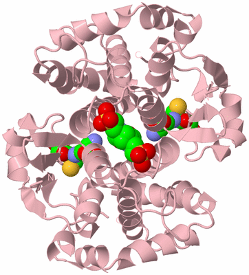 Image Biological Unit 2