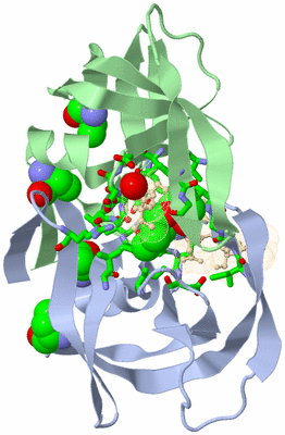 Image Asym./Biol. Unit - sites
