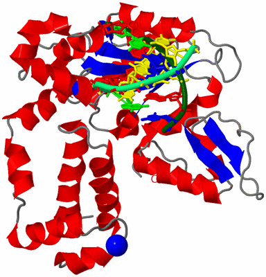 Image Asym./Biol. Unit