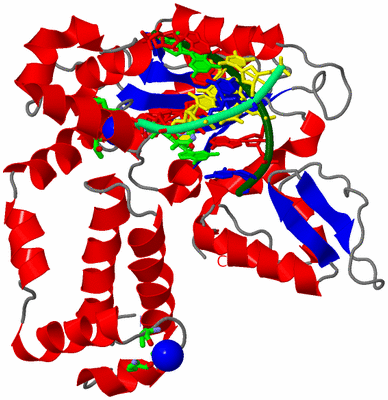 Image Asym./Biol. Unit - sites