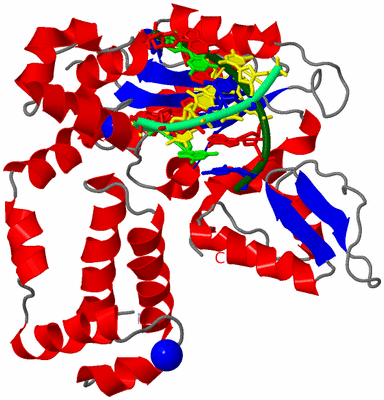 Image Asym./Biol. Unit