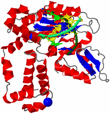 Image Asym./Biol. Unit