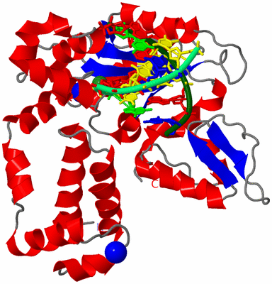 Image Asym./Biol. Unit