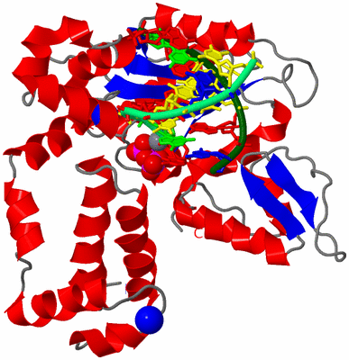 Image Asym./Biol. Unit