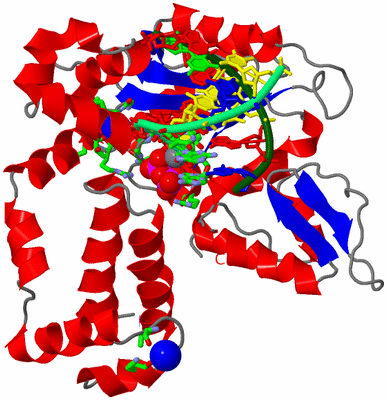 Image Asym./Biol. Unit - sites