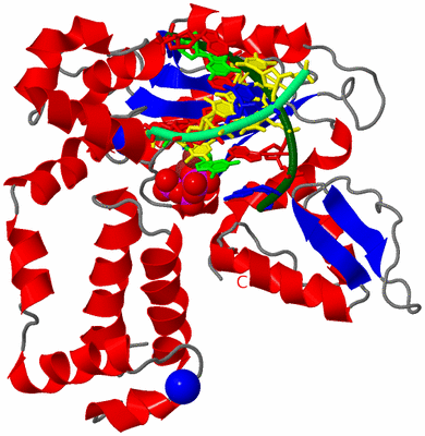 Image Asym./Biol. Unit