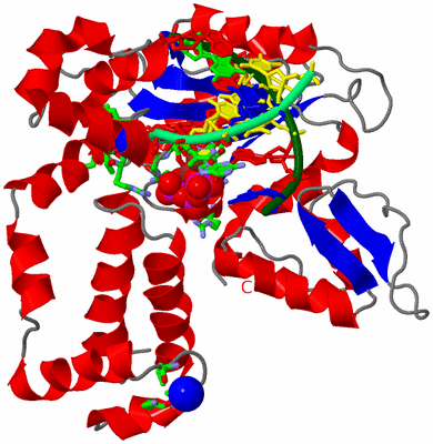 Image Asym./Biol. Unit - sites