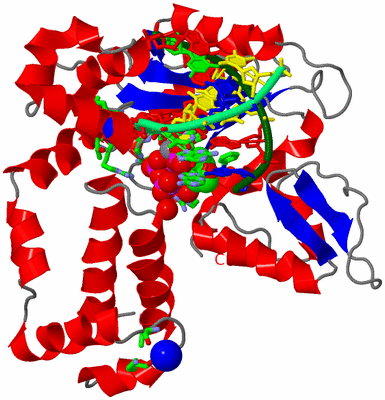 Image Asym./Biol. Unit - sites