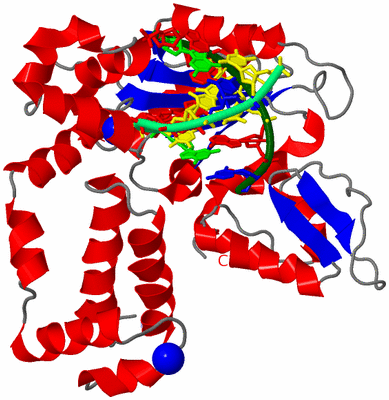 Image Asym./Biol. Unit