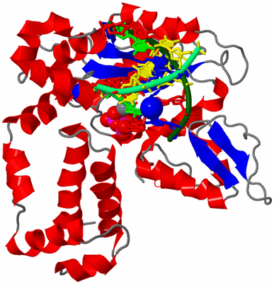 Image Asym./Biol. Unit