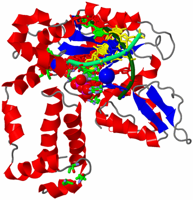 Image Asym./Biol. Unit - sites