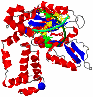 Image Asym./Biol. Unit