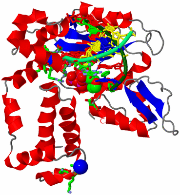 Image Asym./Biol. Unit - sites