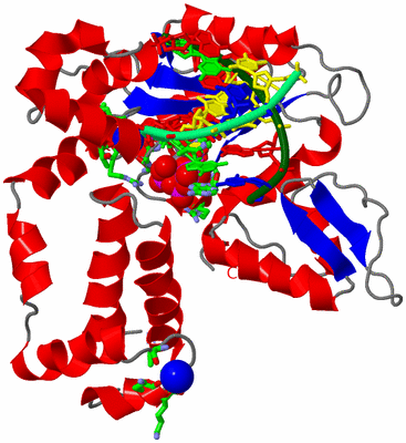 Image Asym./Biol. Unit - sites