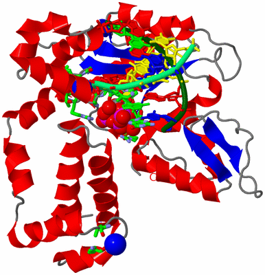 Image Asym./Biol. Unit - sites