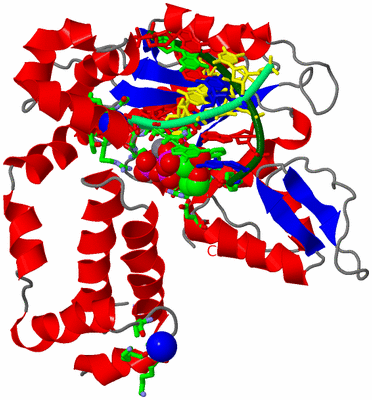 Image Asym./Biol. Unit - sites