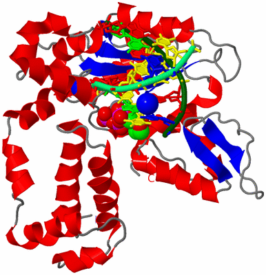 Image Asym./Biol. Unit