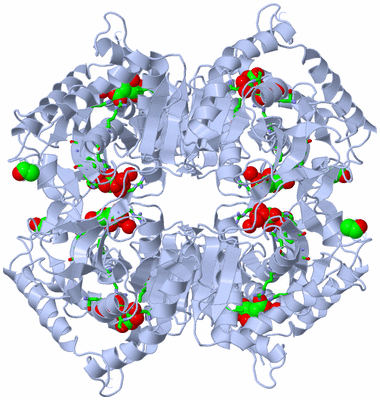 Image Biol. Unit 1 - sites