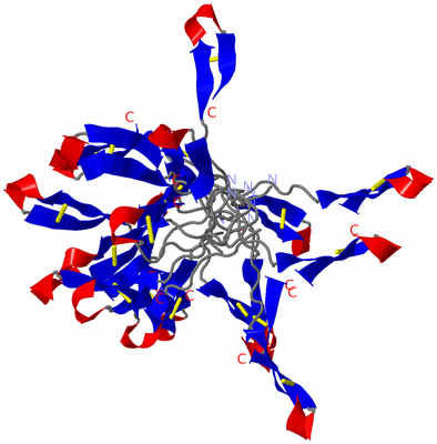 Image NMR Structure - all models