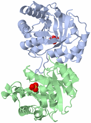 Image Asym./Biol. Unit