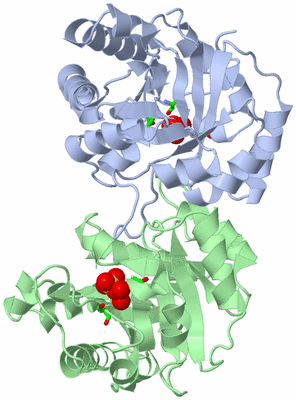 Image Asym./Biol. Unit - sites