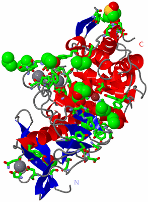 Image Asym./Biol. Unit - sites