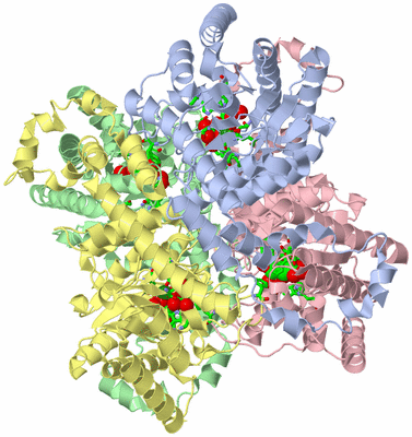 Image Asym./Biol. Unit - sites