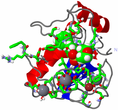 Image Asym./Biol. Unit - sites