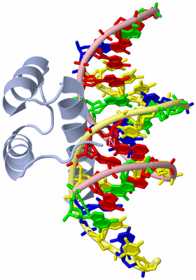 Image Biological Unit 1