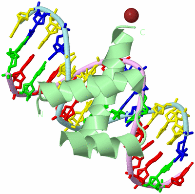 Image Biological Unit 2