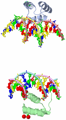 Image Asym. Unit - sites