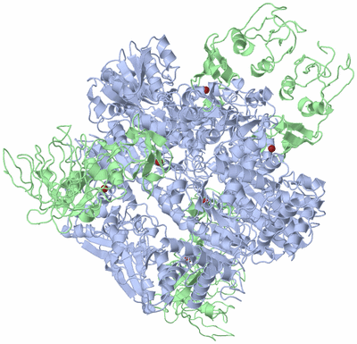 Image Biological Unit 1