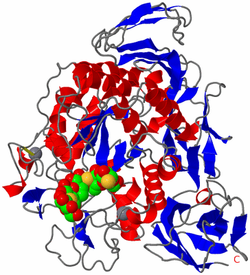 Image Asym./Biol. Unit